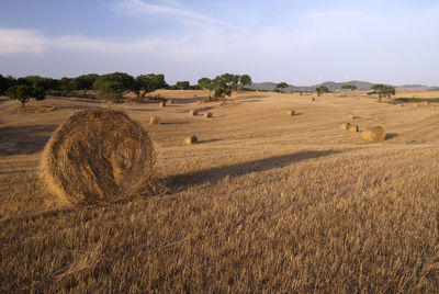 Hay bales on field against sky