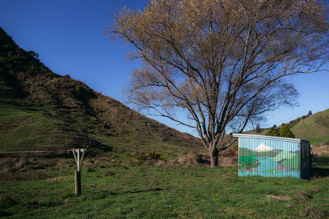 VIEW OF TREES ON FIELD AGAINST SKY