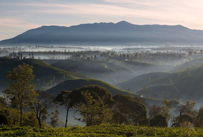 Scenic view of landscape against sky during sunrise