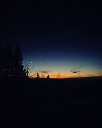 Silhouette trees on field against sky at night