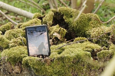 Close-up of a mossy treestomp with the reflection of the photographer in the forest