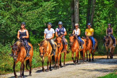 People riding horses in forest