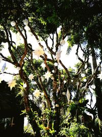 Low angle view of tree against sky