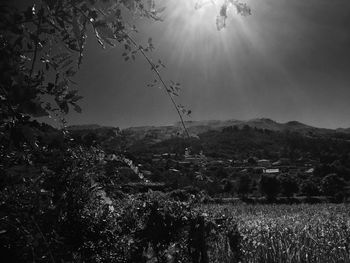 Scenic view of landscape against sky