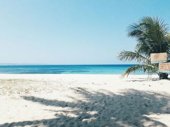 View of palm trees on beach