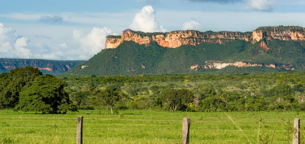 Scenic view of field against sky