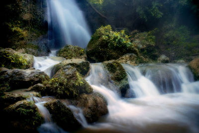 Scenic view of waterfall in forest