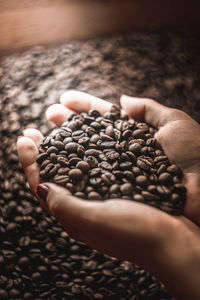 Close-up of hand holding coffee beans