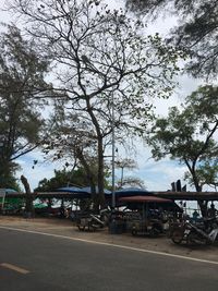 Road by trees in city against sky