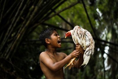 Shirtless boy holding chicken bird