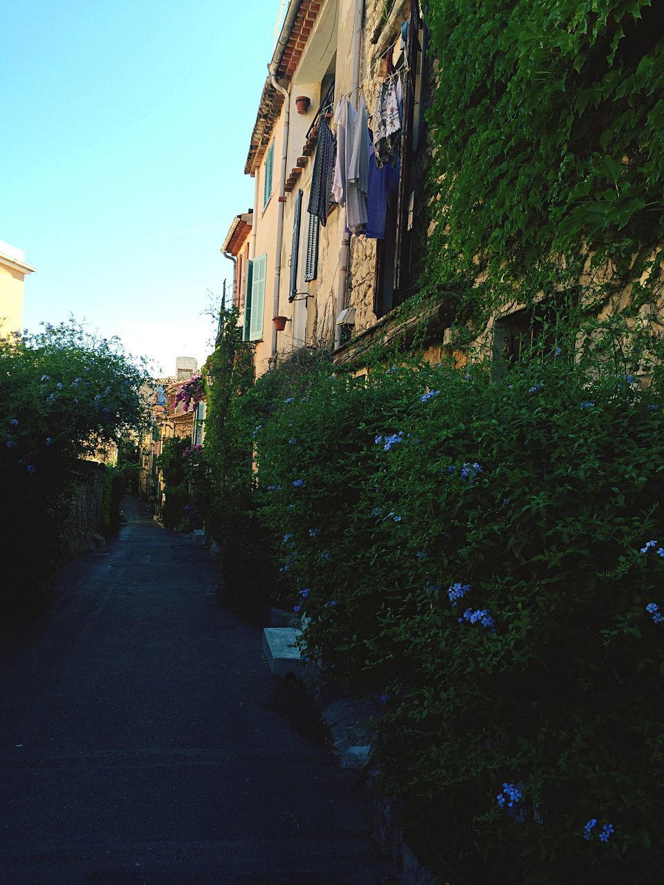 building exterior, architecture, built structure, house, residential structure, tree, clear sky, residential building, building, plant, street, sunlight, day, growth, outdoors, no people, water, shadow, sky, town