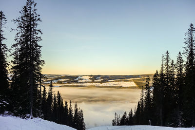 Scenic view of landscape against sky in winter