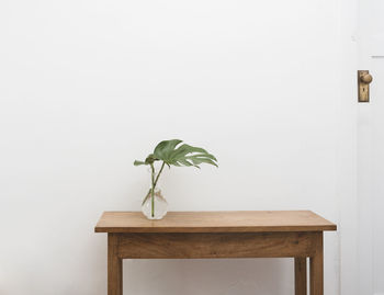 Potted plant on table against wall