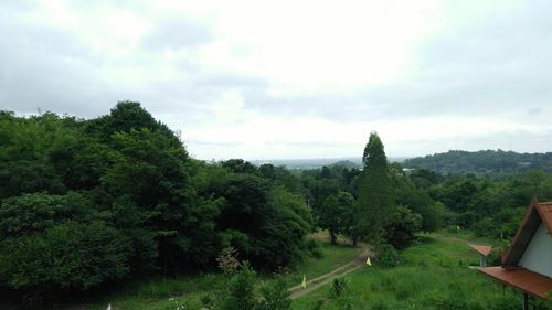 Scenic view of forest against sky