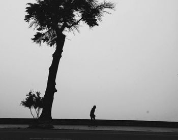 Silhouette people walking on tree against clear sky