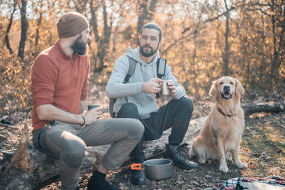 View of dog sitting in forest