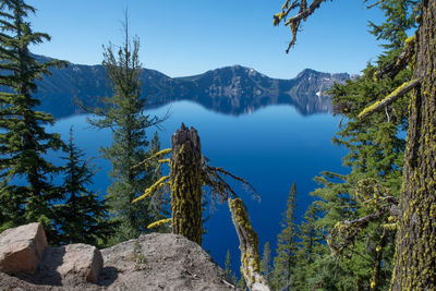 Panoramic view of trees and rocks against blue sky