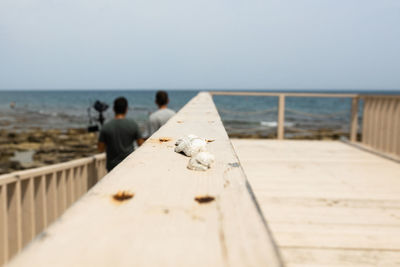 Rear view of people on pier at beach against sky