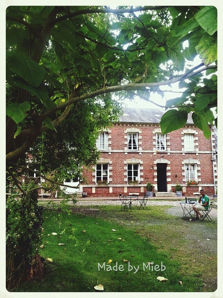 building exterior, architecture, built structure, tree, transfer print, green color, grass, house, auto post production filter, window, growth, day, lawn, residential structure, sky, outdoors, branch, building, residential building, facade