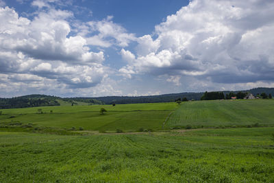 Scenic view of farm against sky