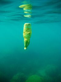 Close-up of bottle in sea water