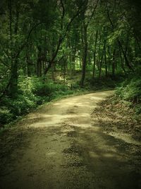 Road amidst trees in forest