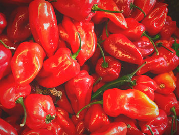 Full frame shot of bell peppers