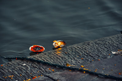 High angle view of orange on lake