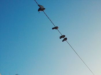 Low angle view of bird flying against blue sky