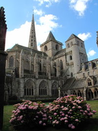 View of flowers against building