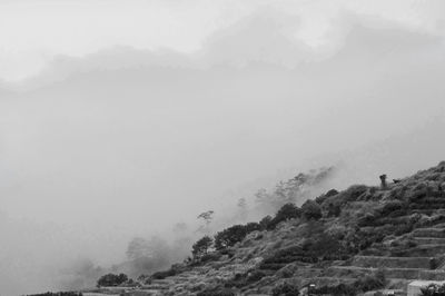 Scenic view of mountains in foggy weather