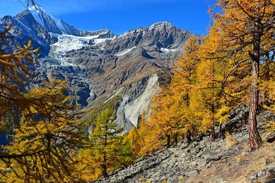 Scenic view of snowcapped mountains during autumn