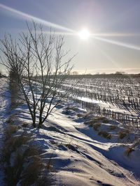 Scenic view of snow covered land against bright sun