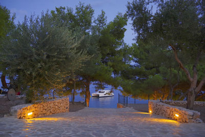 Trees by illuminated building against sky at night