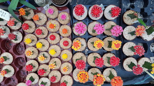 High angle view of multi colored flowers for sale