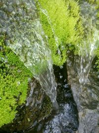 Stream flowing through rocks