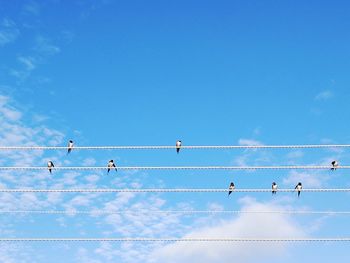 Low angle view of birds perching on cable against sky