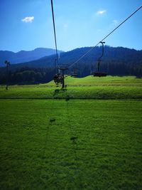 Scenic view of grassy field against sky