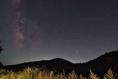 Scenic view of star field against sky at night