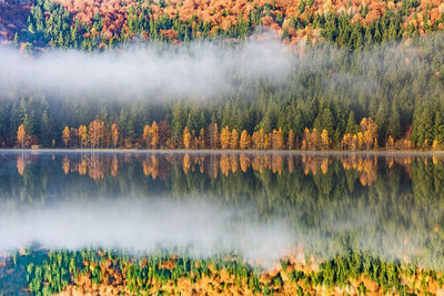 Panoramic view of lake in forest during autumn