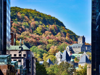 Trees and buildings against blue sky