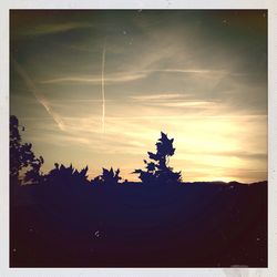 Low angle view of silhouette tree against sky at sunset