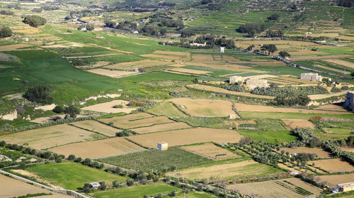 High angle view of agricultural field