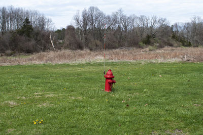 Rear view of person standing on field