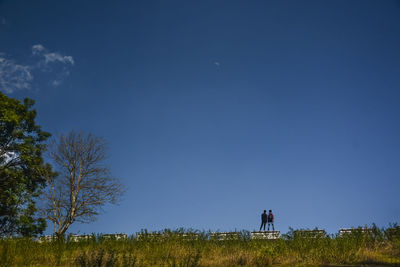 Low angle view of male friends standing on railing against blue sky