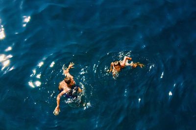 High angle view of people swimming in sea