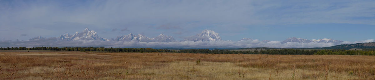 Panoramic view of field against sky