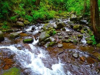 Scenic view of river flowing through rocks