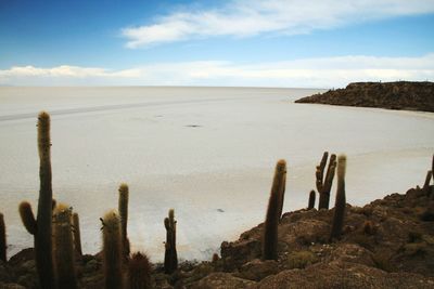 Scenic view of sea against cloudy sky