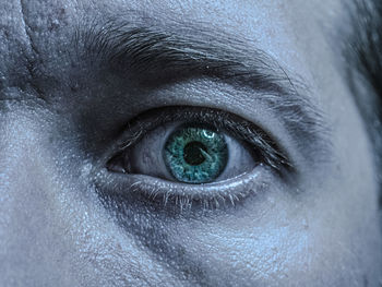 Close-up of human eye